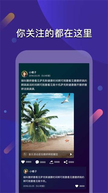 女王短视频手机软件app截图