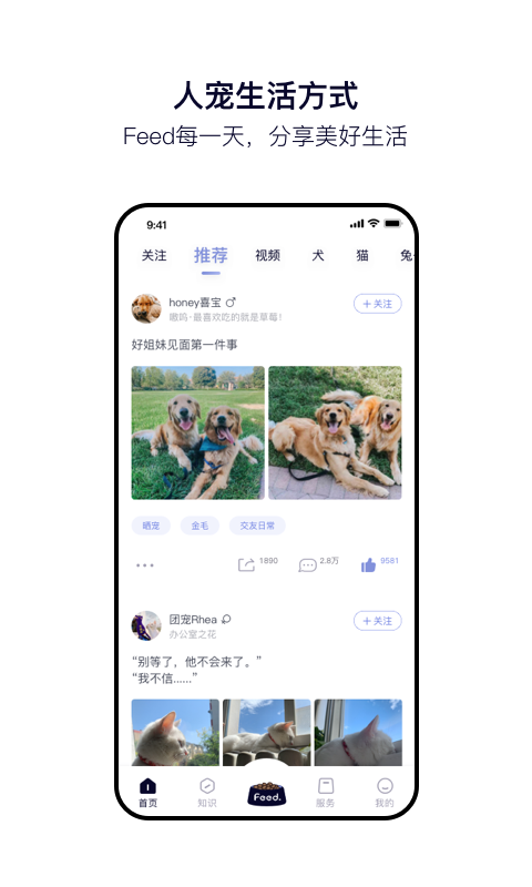 Feed手机软件app截图