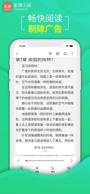 澎湃小说手机软件app截图