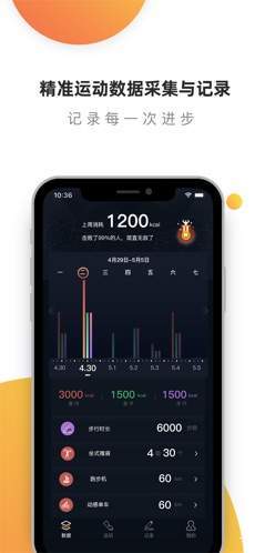黑蜂运动手机软件app截图