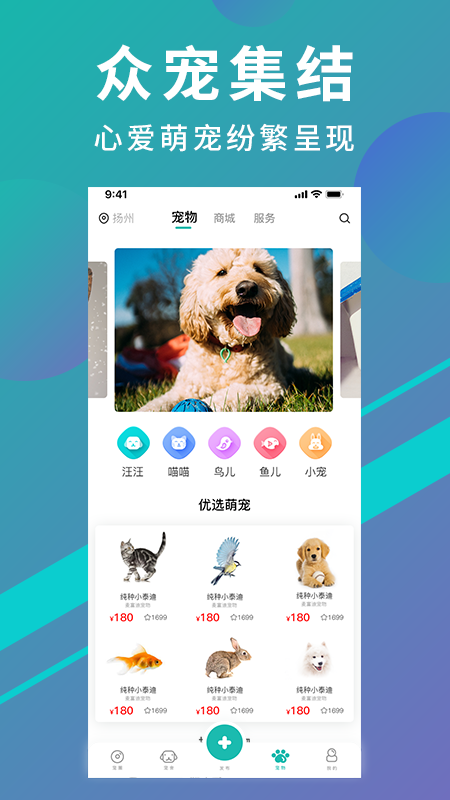 宠都手机软件app截图