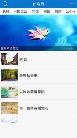 新定西手机软件app截图