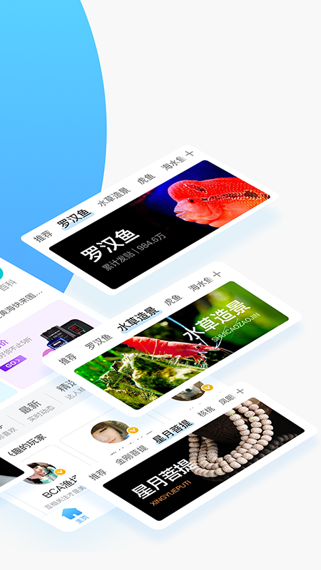 龙巅手机软件app截图