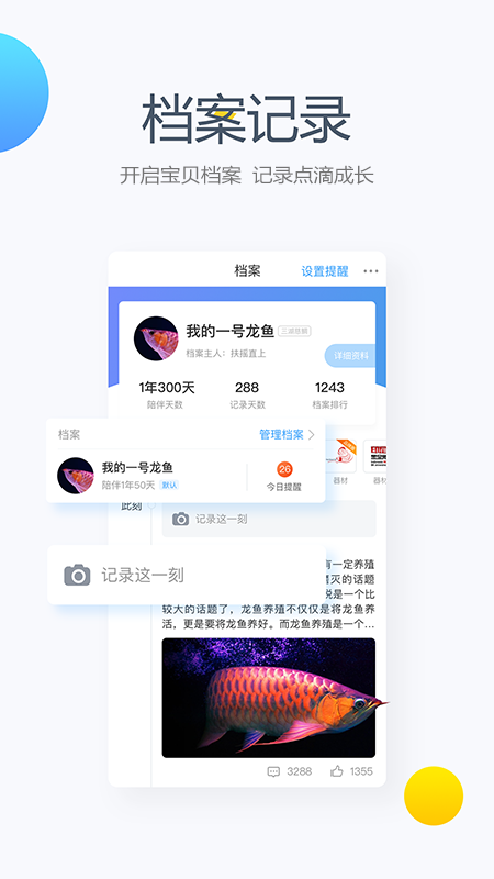 龙巅手机软件app截图