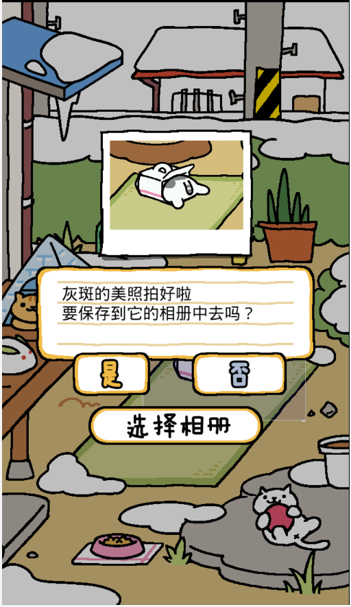 猫咪后院汉化版手游app截图