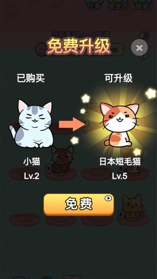 我的小猫花花手游app截图