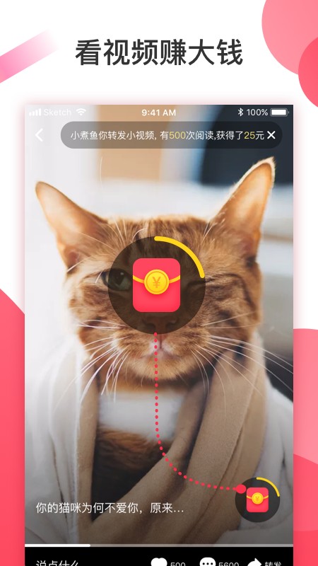 魔视手机软件app截图