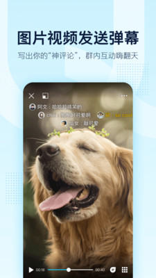 QQ8.2.8测试版手机软件app截图