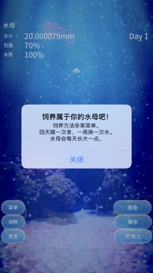 养育水母的治愈游戏手游app截图