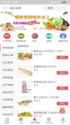 甩购网手机软件app截图