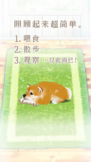 养育柴犬的治愈手游app截图