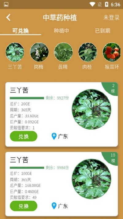 淘美乐手机软件app截图