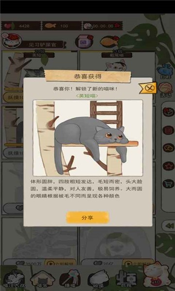 请问你需要猫吗手游app截图