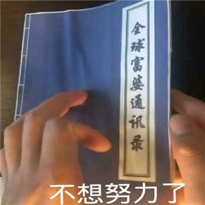 如何搞定追到富婆听说有人不努力表情包手机软件app截图