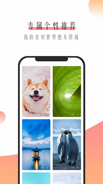 超美壁纸手机软件app截图