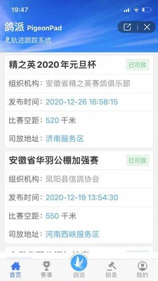 鸽派比赛报道手机软件app截图