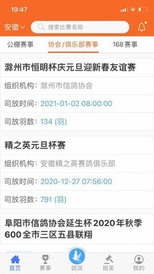 鸽派比赛报道手机软件app截图