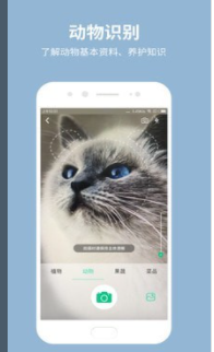 拍照识花宝手机软件app截图