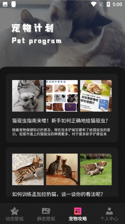 猫咪壁纸手机软件app截图