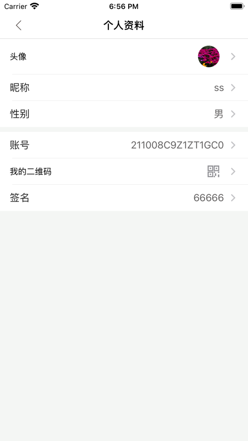 深湾Go手机软件app截图