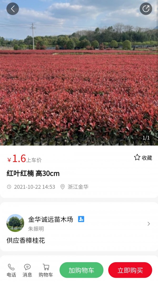 苗青青手机软件app截图