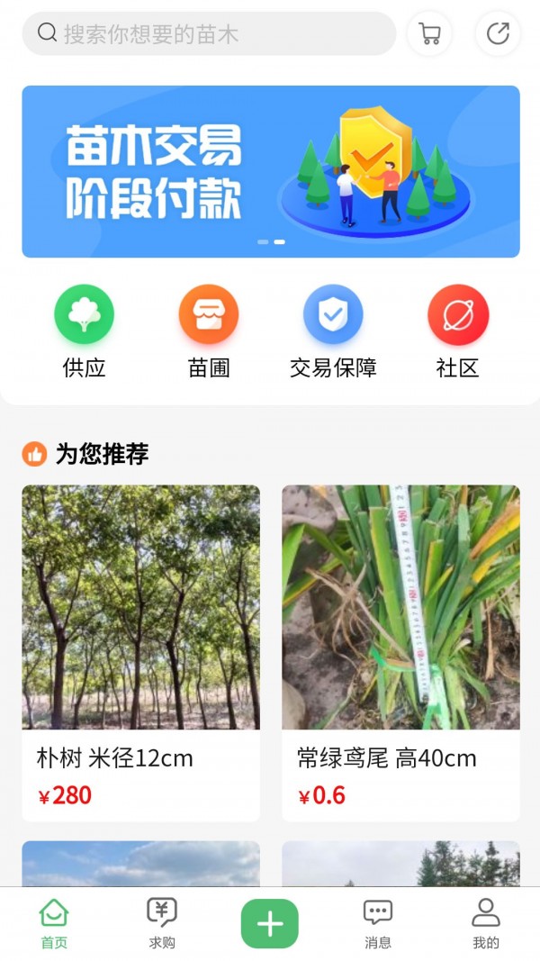 苗青青手机软件app截图