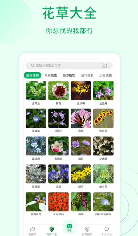 爱花草识别手机软件app截图