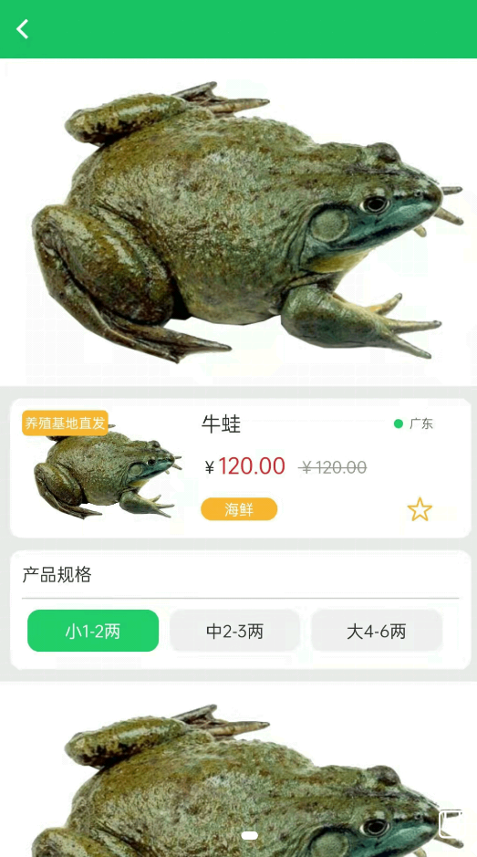 晓能批发手机软件app截图