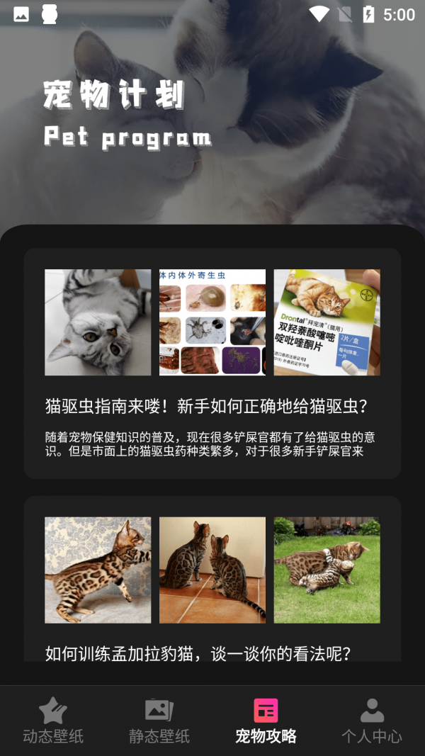 小猫壁纸手机软件app截图