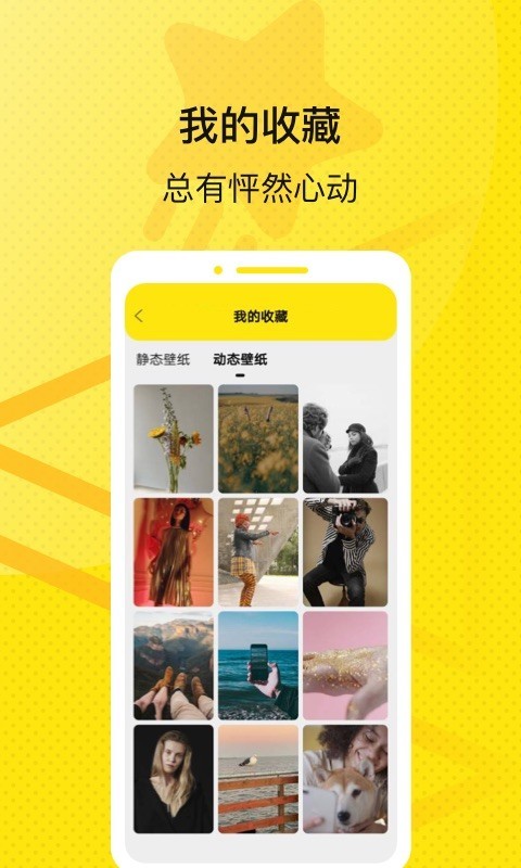 星星壁纸手机软件app截图