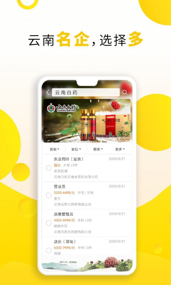 云南招聘网手机软件app截图