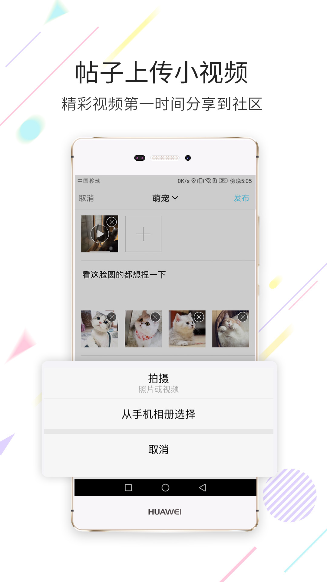 西蜀网手机软件app截图