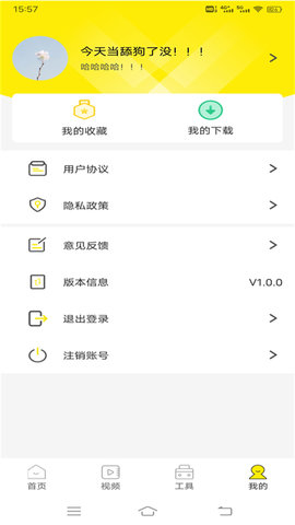 白狐视频壁纸手机软件app截图