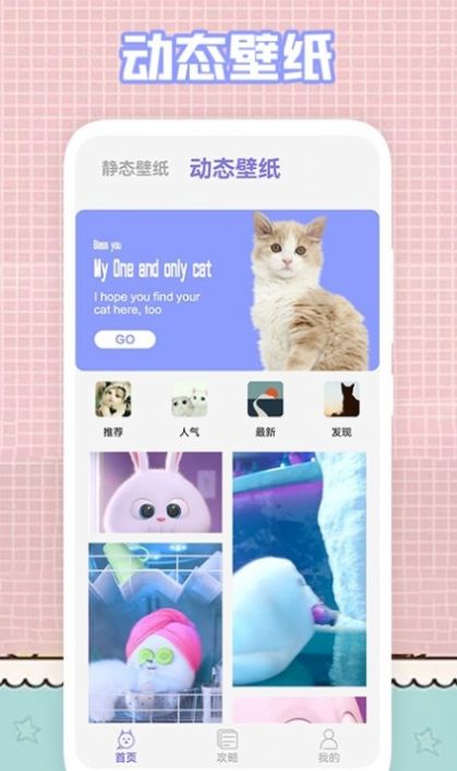 我的猫咪壁纸手机软件app截图