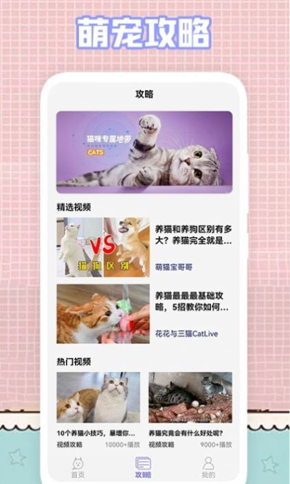 我的猫咪壁纸手机软件app截图