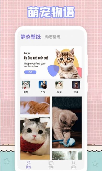 我的猫咪壁纸手机软件app截图