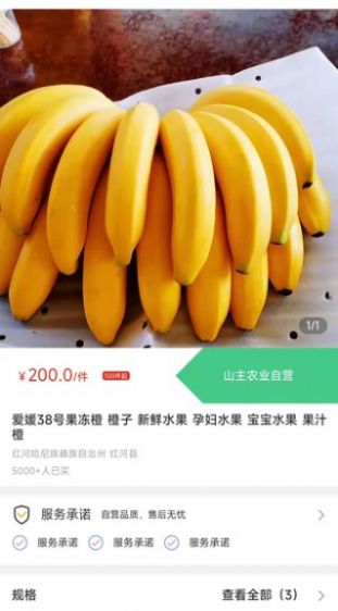 天蕉云果手机软件app截图