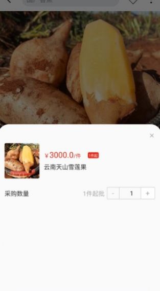 天蕉云果手机软件app截图