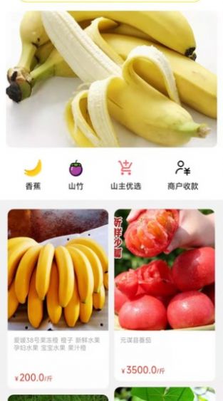 天蕉云果手机软件app截图