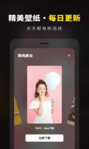 壁纸大全精选手机软件app截图