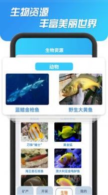 海洋寻宝记手机软件app截图