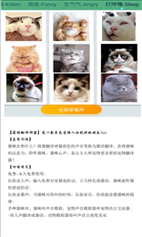 晋江猫语翻译器手机软件app截图