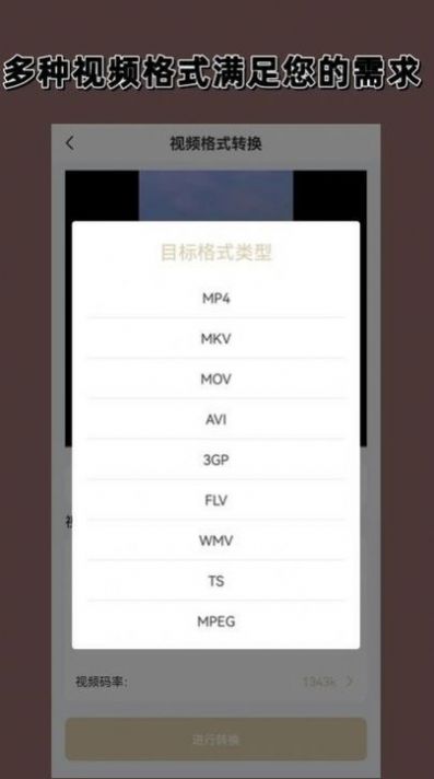 视频格式转换大师手机软件app截图