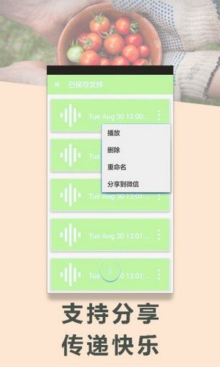 变声专家手机软件app截图