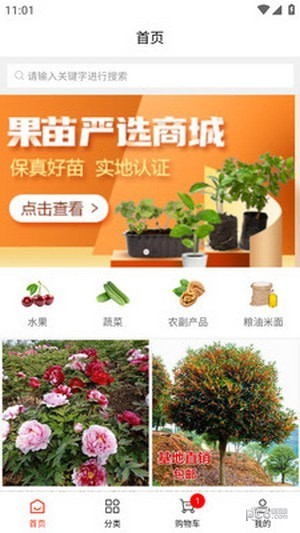 辰阳商城手机软件app截图