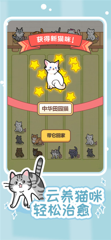 解压猫咪手游app截图