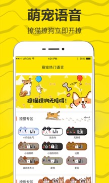 猫语app手机软件app截图