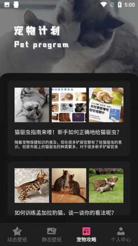 花猫壁纸手机软件app截图