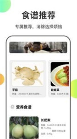 瘦身计划食谱手机软件app截图