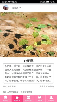 随手拍照识物手机软件app截图